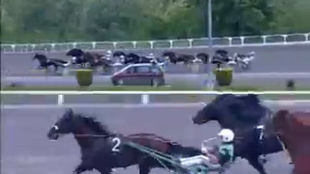 Premio San Paolo 2010 -Mirtillo Rosso смотреть онлайн