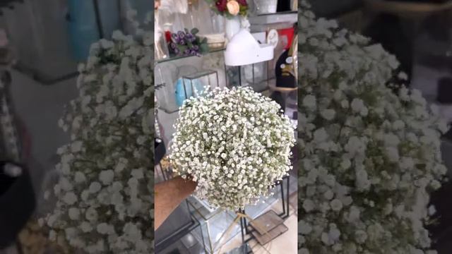 مسكة عروس من نبات 🪴 الجبسفيلية روعة 🤩🤩⚡️ смотреть онлайн