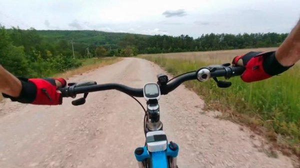 Спуск с горы /Дети одни в лесу #вело