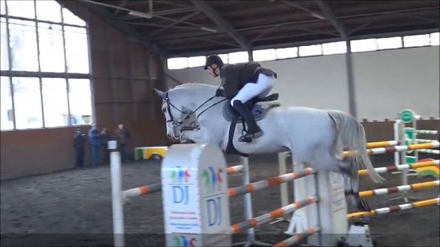 10 yo 145 jumper by Cornet Obolensky ***FOR SALE*** смотреть онлайн