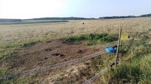 Электропастух. Нужная ли это вещь в хозяйстве?