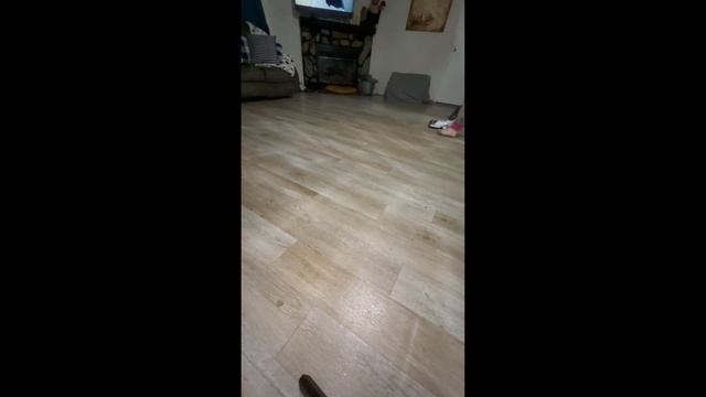 Tineco  Ifloor2 Review 2023 ( 3 Months Review)