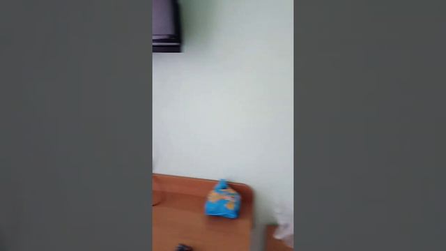 "НАРОЧАНСКИЙ БЕРЕГ" обзор номера смотреть онлайн