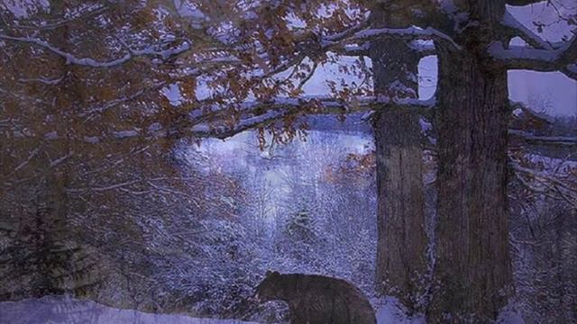 А. Кофанов - Веления Велеса смотреть онлайн