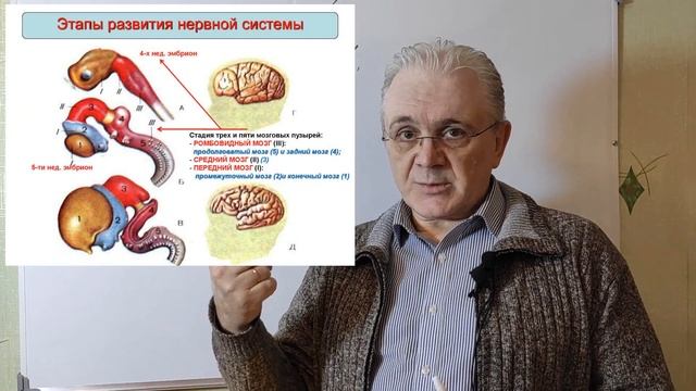 Где находится подсознание - Александр Балыкин - ответы по книге №1 смотреть онлайн