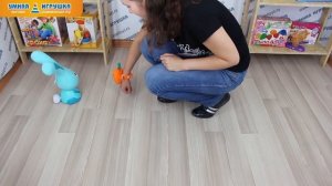 Интерактивная игрушка «За мной, Бани»
