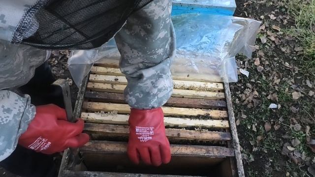 САХАРНЫЙ СИРОП В ЗИМУ ПЧЁЛАМ,ОГРОМНЫЙ РИСК. ЗИМОВКА НАЧАЛАСЬ. смотреть онлайн