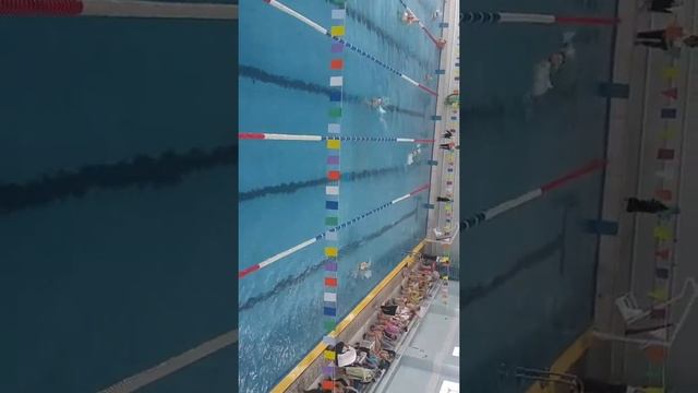 Новороссийск бассейн "дельфин" смотреть онлайн