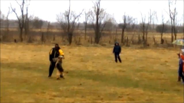 Флорешаль Соната (фактор) +++ 2 место за мутпробу! смотреть онлайн