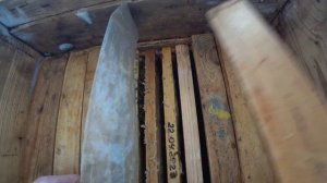 Зимний осмотр семей на пчело ферме, пчелиный мор и иней внутри ульев. Что делать?