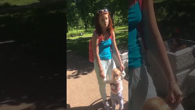 Две собаки разорвали котенка - а хозяйки спокойно гуляют по парку с ребенком смотреть онлайн