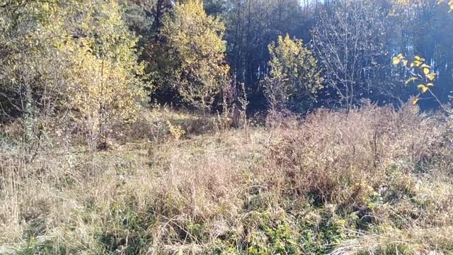 КАК НАЙТИ СТАРИННОЕ ПОСЕЛЕНИЕ КОТОРОГО НЕТ НА КАРТЕ смотреть онлайн