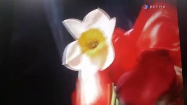 Запоминайте нас,пока мы есть!/Эдуард Асадов, Герой Советского Союза/ смотреть онлайн