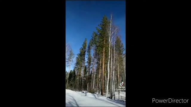 Вечность! (Микаэл Таривердиев) смотреть онлайн