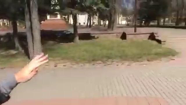 Online экскурсия по Гродно, часть 2. смотреть онлайн