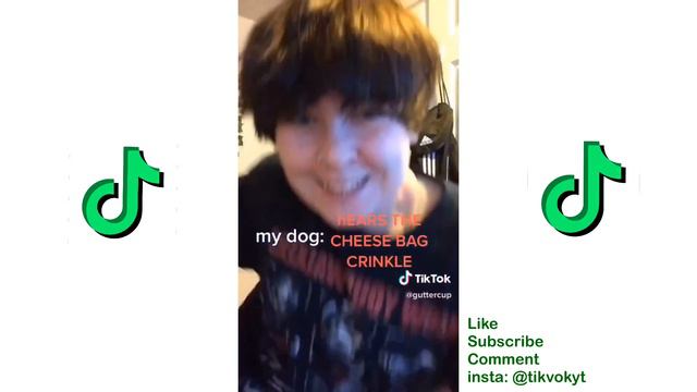 SIGNAL FOUND TIKTOK MEME смотреть онлайн