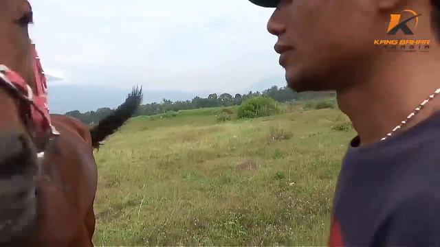 NONTON KUDA KAWIN - Antara Tertawa Bahagia dan Gimana gituuu... смотреть онлайн