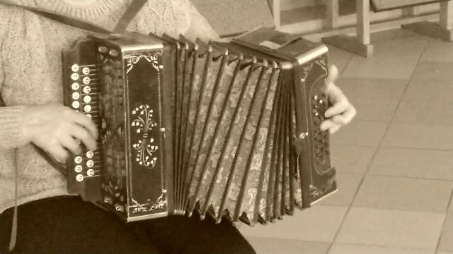 Страдания на гармони