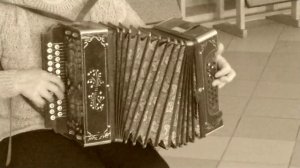 Страдания на гармони