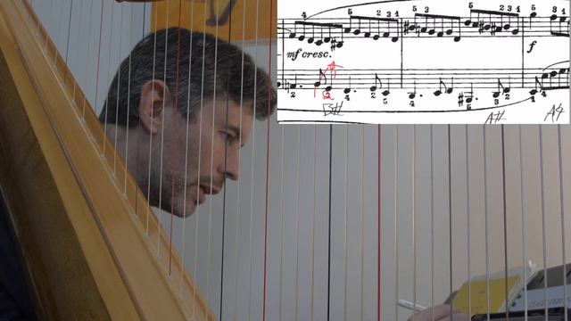 Muffling Technique on the harp (Featuring Bach's C sharp minor Prelude) смотреть онлайн