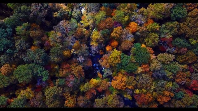 Quick meditation 15,meditation floating in the space смотреть онлайн