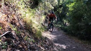 SRAM NX Eagle | Initial Ride & Review
