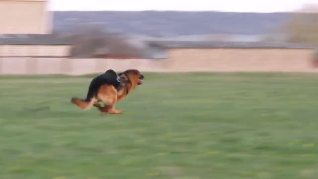 Дерзкий Ангел Вагнер смотреть онлайн