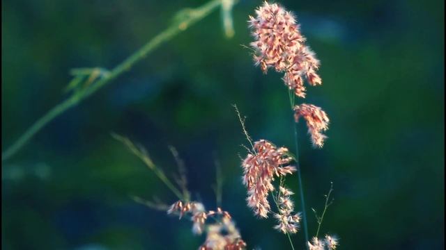 Что требуется от нас, чтобы жить вечно? смотреть онлайн