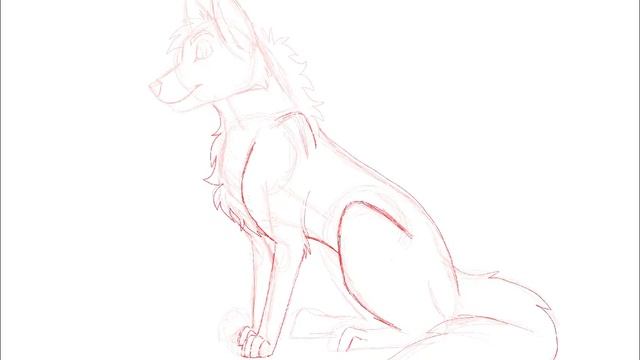 Wolf Sketch смотреть онлайн