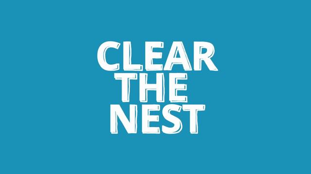 Do chickens eat their own eggs? 3 Reasons they might and what you can do to stop it! смотреть онлайн