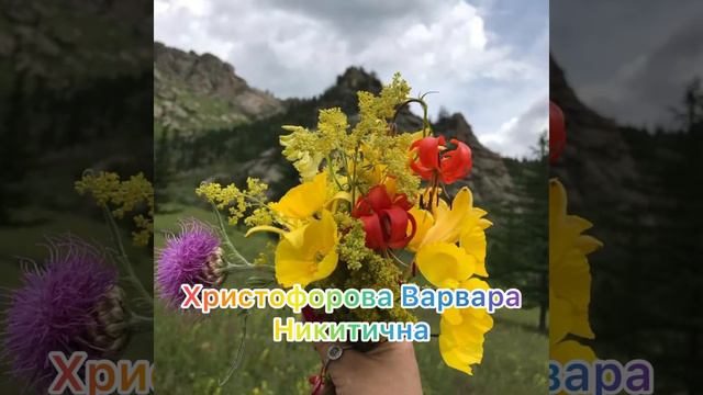 *Сибэккилэр түһүүллэр* композицияны көрүҥ, сэргээҥ! смотреть онлайн