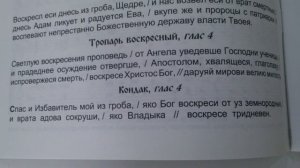 Тропари и кондаки воскресные. Обучающее видио.