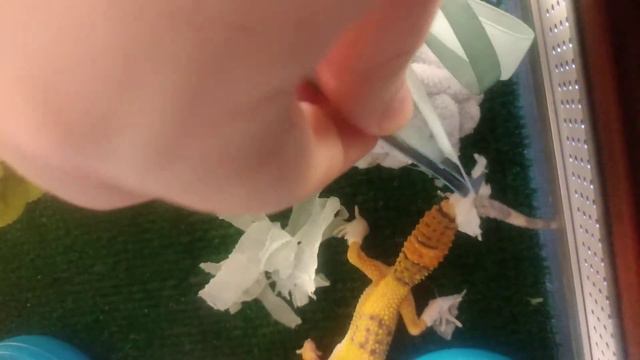 Снимаем противовирусный костюм смотреть онлайн