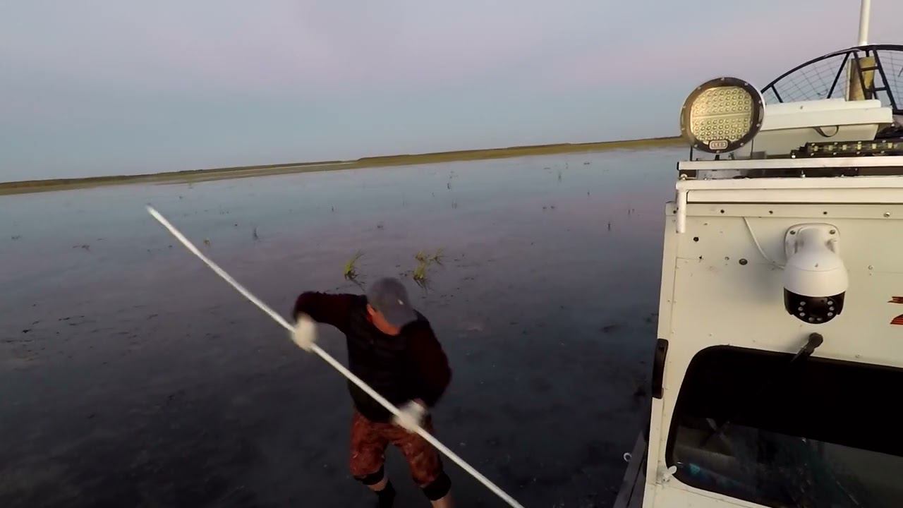 Приплыли ; смотреть онлайн