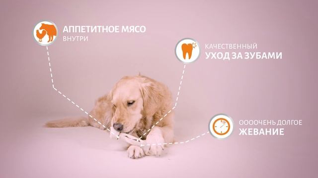 8in1 Delights Идеальная косточка для любой собаки смотреть онлайн