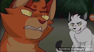 Коты воители~Ежевика и Звездоцап•{клип•—•Heathens}•