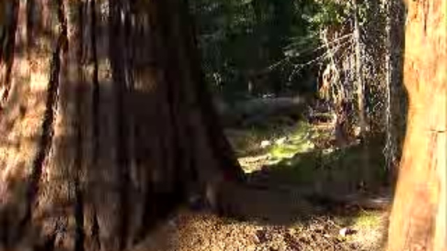 Национальный Парк Йосемити смотреть онлайн