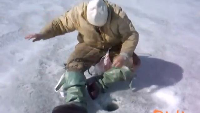 Поймал!Отпусти!Дискавери блин смотреть онлайн