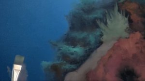 Открытый вебинар "Подводный мир" | Школа морского пейзажа Дмитрия Розы | Картина маслом - просто