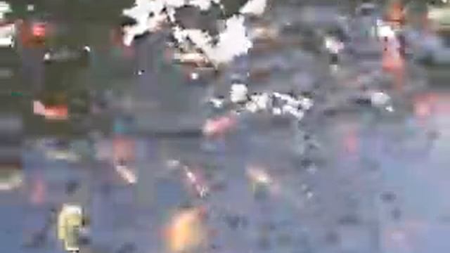 Карпы декоративные