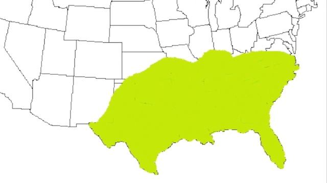 Диалекты американского английского языка смотреть онлайн
