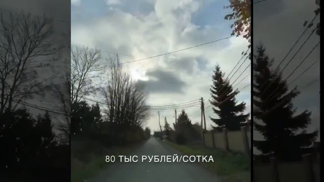 Купить земельный участок в посёлке Заозерье. Окружены лесом, в 300 метрах озеро. Газ, свет дороги. смотреть онлайн