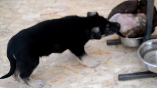 Вкусная еда на каждый день