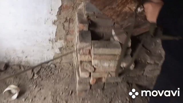 Прогулка с собаками часть 2 смотреть онлайн