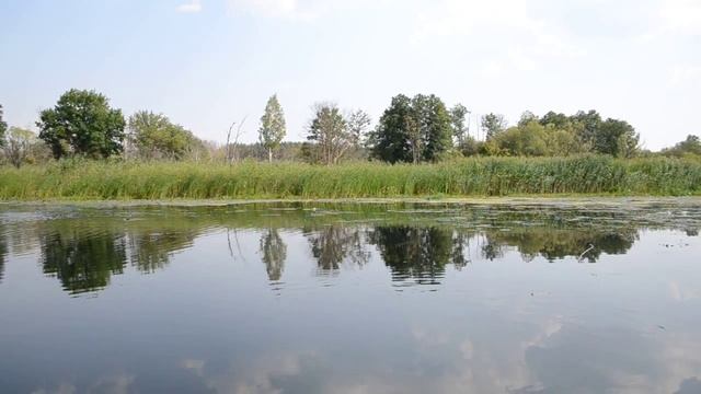 Река Усманка смотреть онлайн