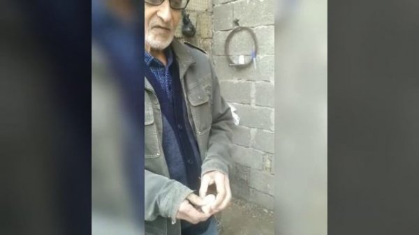 11.04.22 Голуби Машаллы Мирзоева 89285591795