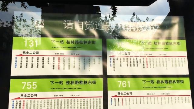 КИТАЙ ВЛОГ#4. ИКЕА в Китае, готовимся к Новому Году 2019. Прогулки по Шанхаю. смотреть онлайн