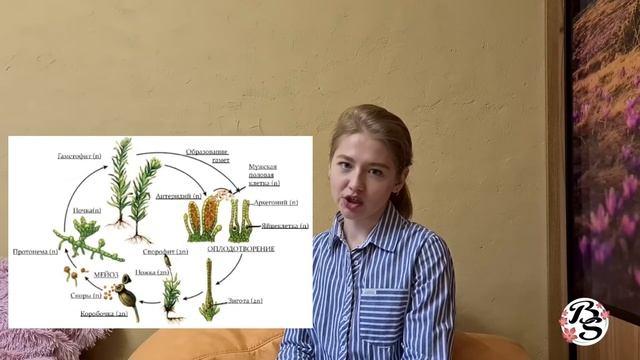 МХИ||ЖИЗНЕННЫЙ ЦИКЛ КУКУШКИНА ЛЬНА ЗА 3 МИНУТЫ смотреть онлайн