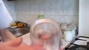 Молочный гриб (Тибетский гриб).mp4