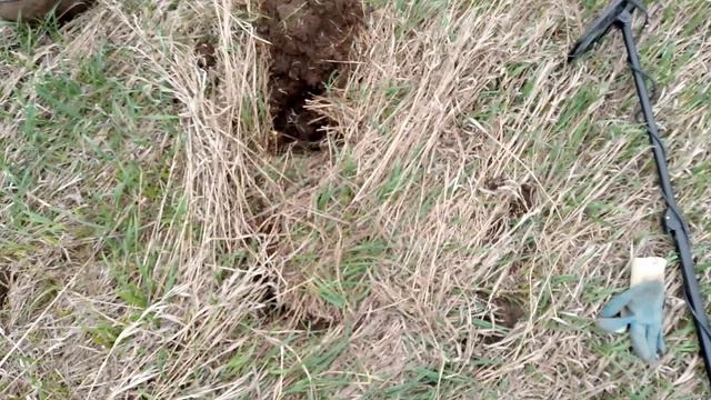 VANQUISH 540 ПЕРВЫЙ ВЫХОД!